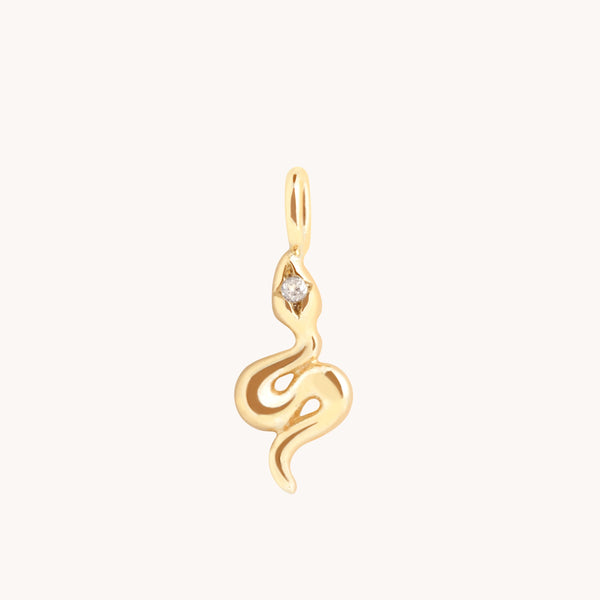 Eternity Collection - White Topaz Snake Charm 9k Gold - Welding Charms - Astrid &amp; Miyu