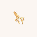 18k Gold Plated Jewellery - Capricorn Zodiac Talisman Charm in Gold - Talisman Charm - Astrid &amp; Miyu
