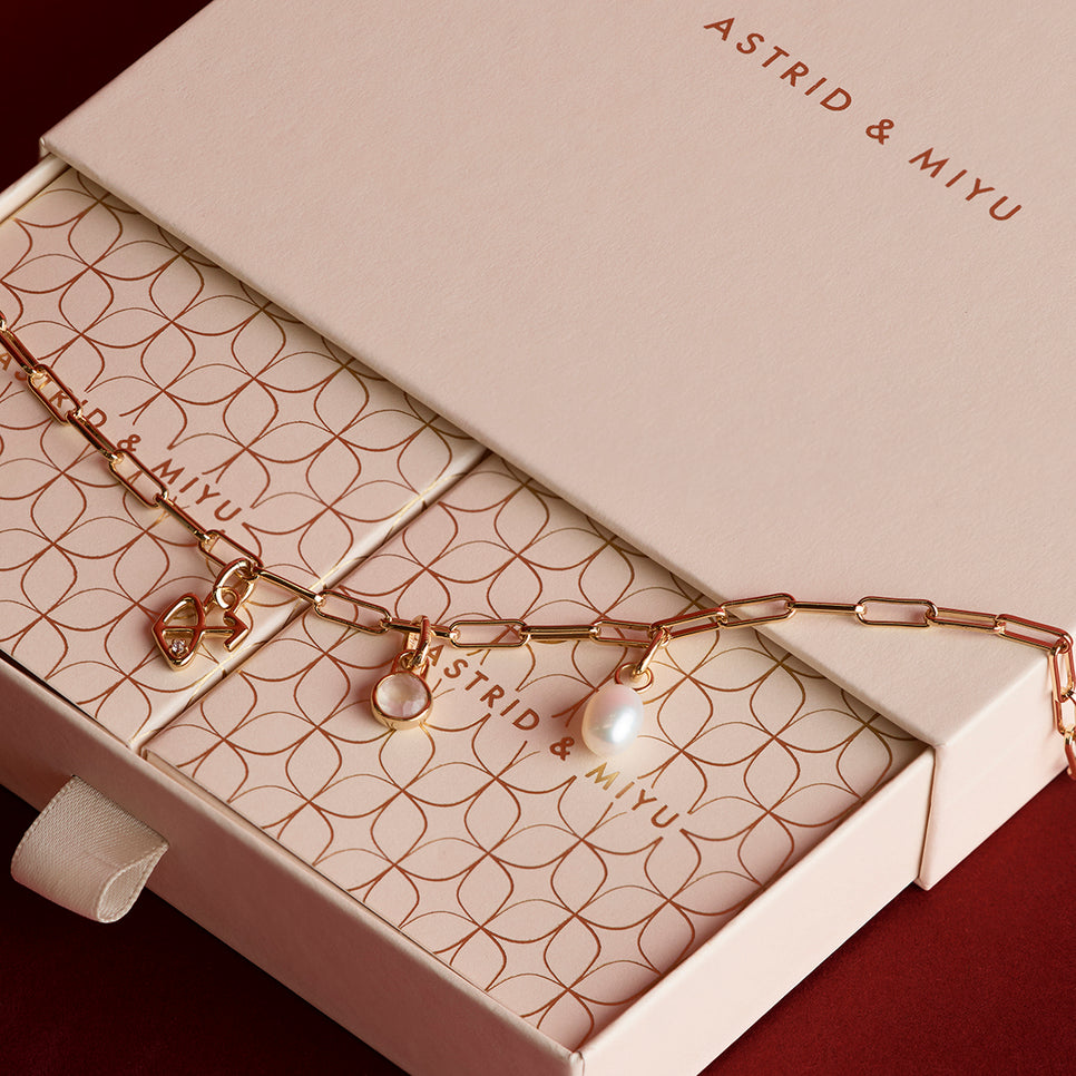 Piccadilly Necklace Charming Gift Set in Gold-Astrid & Miyu
