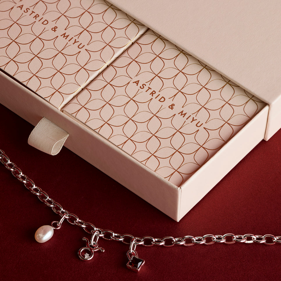 Chelsea Necklace Charming Gift Set in Silver-Astrid &amp; Miyu