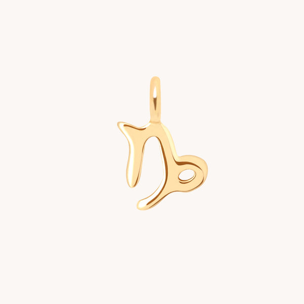 Capricorn Jewellery - Capricorn Zodiac Charm 9k Gold - Welding Charm - Astrid & Miyu