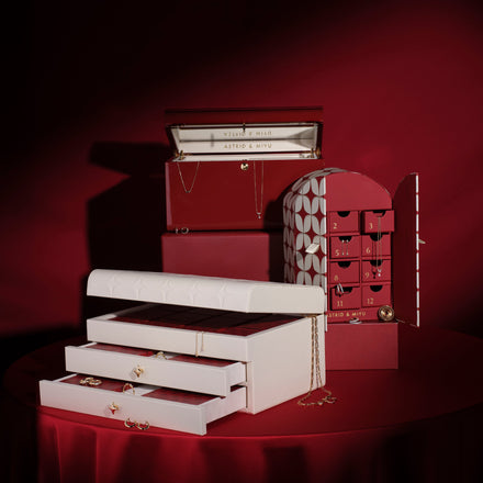 The 2025 Advent Calendars-Astrid & Miyu