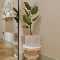 Overlay_Image-Astrid &amp; Miyu